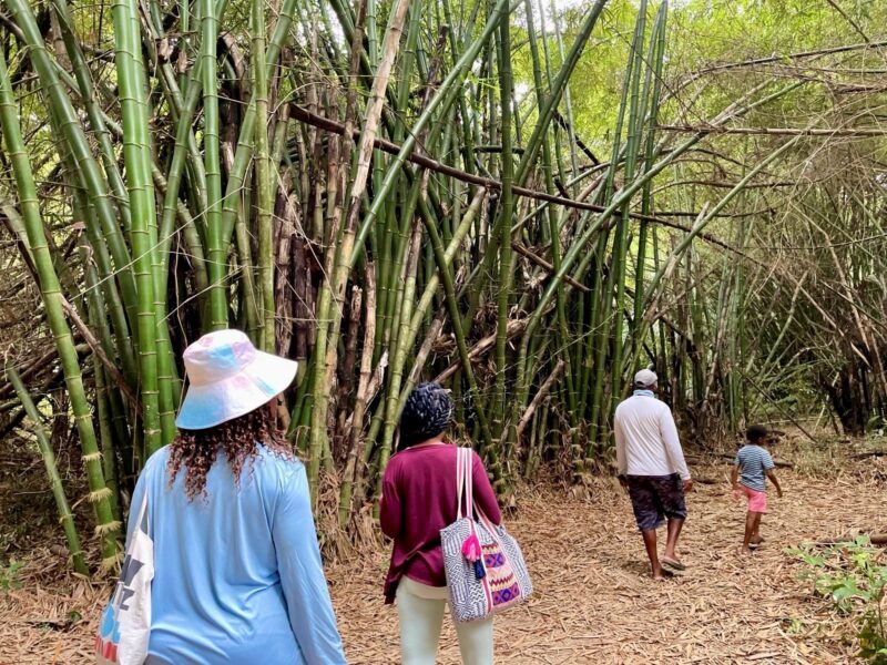 Placencia travel guide