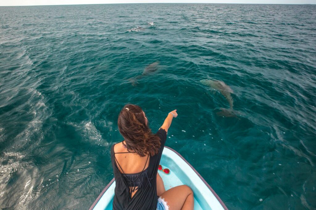 Placencia Sidewalk Festival