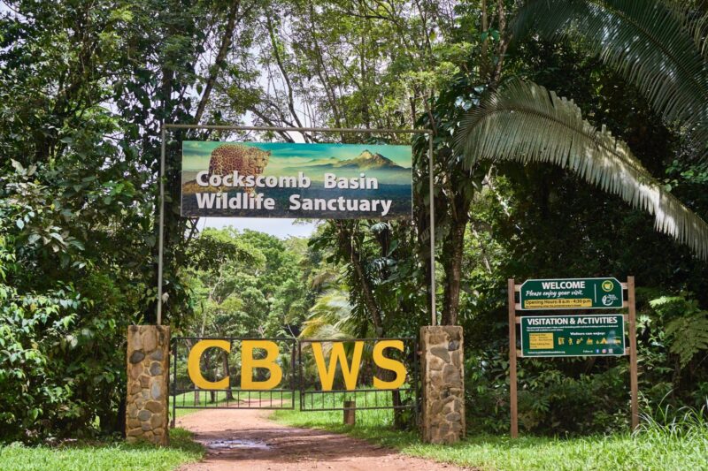 Belize wildlife January