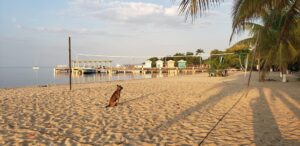 Why Summer Is a Great Time to Visit Belize