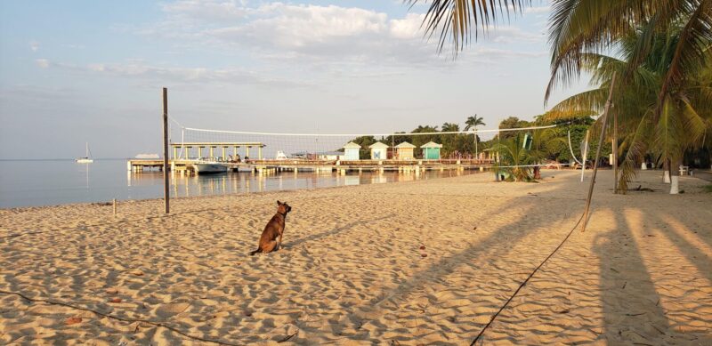 Belize travel season