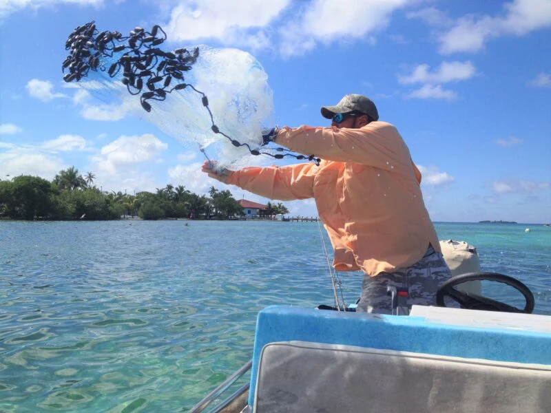 Belize reef fishing