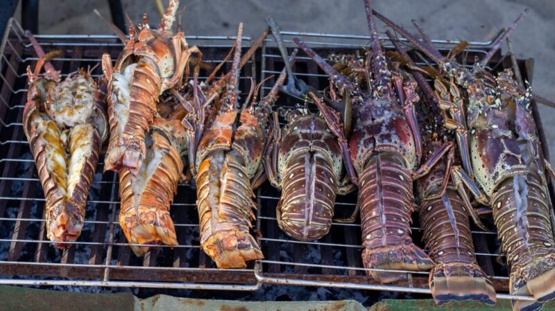 Placencia Lobsterfest