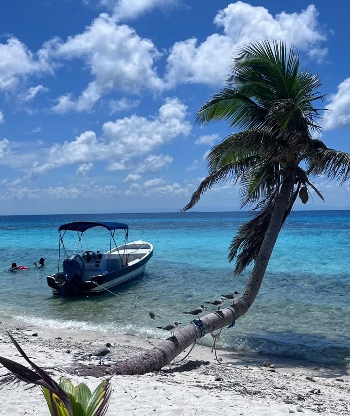  Silk Cayes snorkel Belize