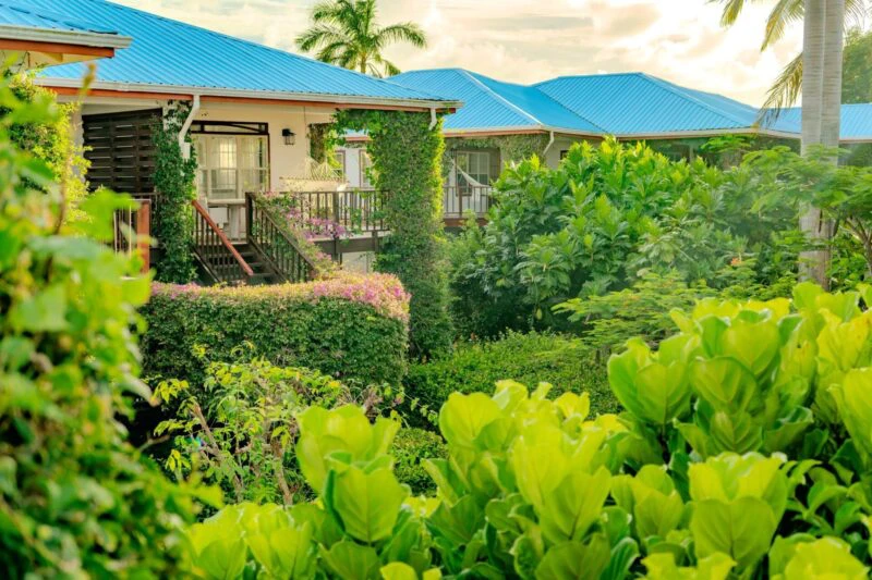 Belize green season reality