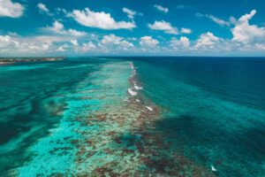 The Belize Barrier Reef Explained for First Time Snorkellers