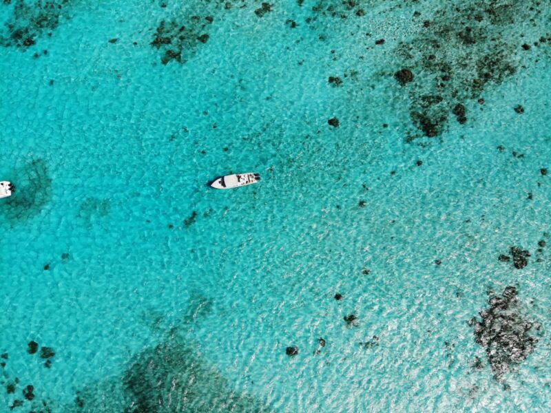 Belize Barrier Reef snorkelling