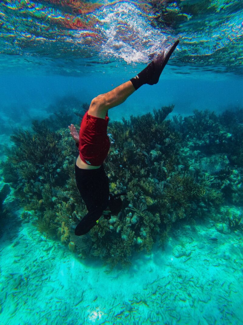 Belize Barrier Reef snorkelling